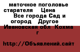 маточное поголовье старателя  › Цена ­ 3 700 - Все города Сад и огород » Другое   . Ивановская обл.,Кохма г.